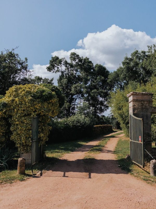 ©LaurenceRevol_RITA-juin025_101